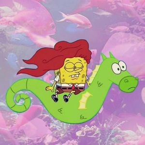 Meet your Posher, Holly